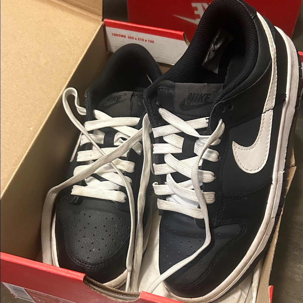 Black and White Dunk Low
